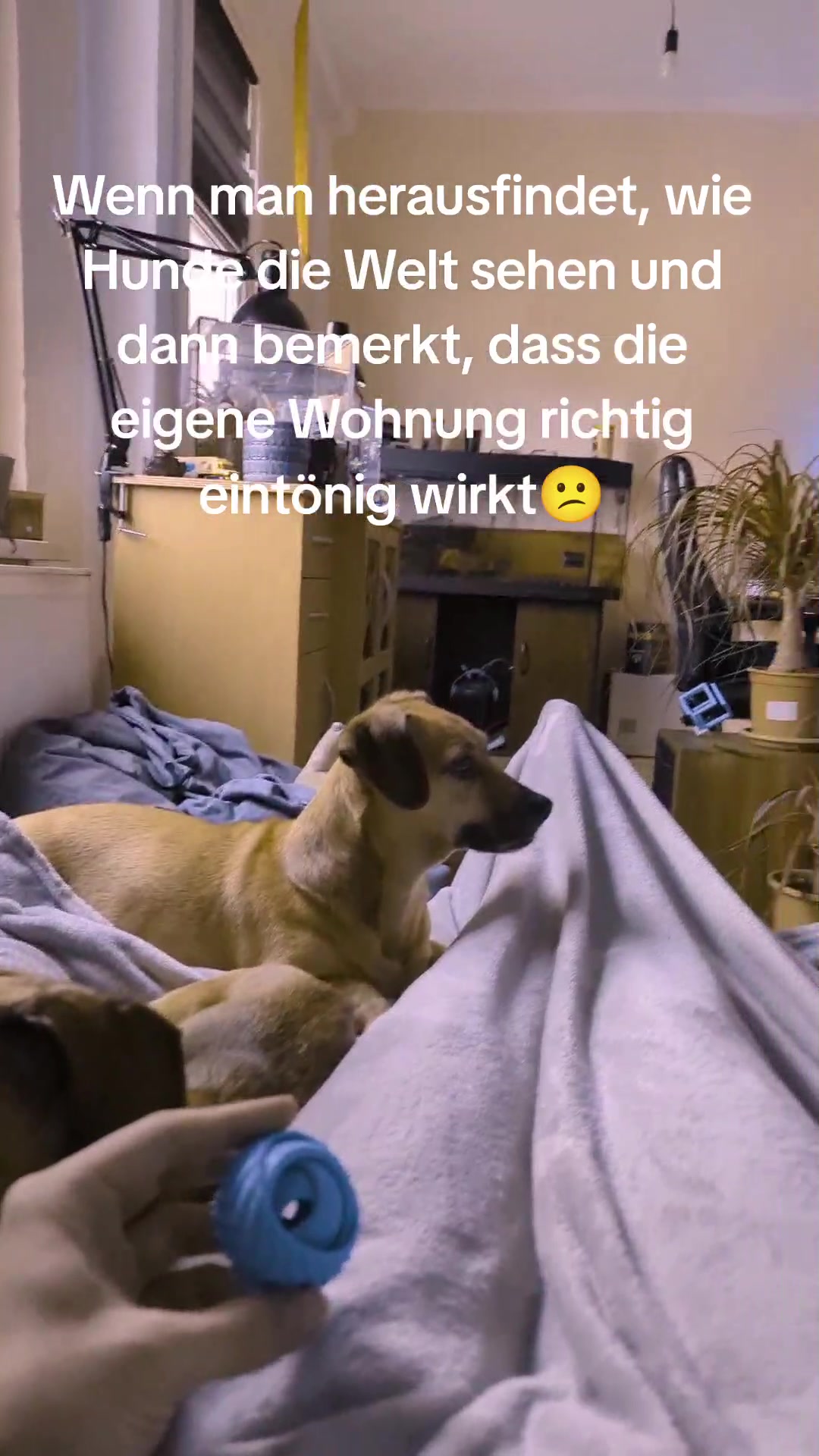 @Leon N&uuml;ndel 161