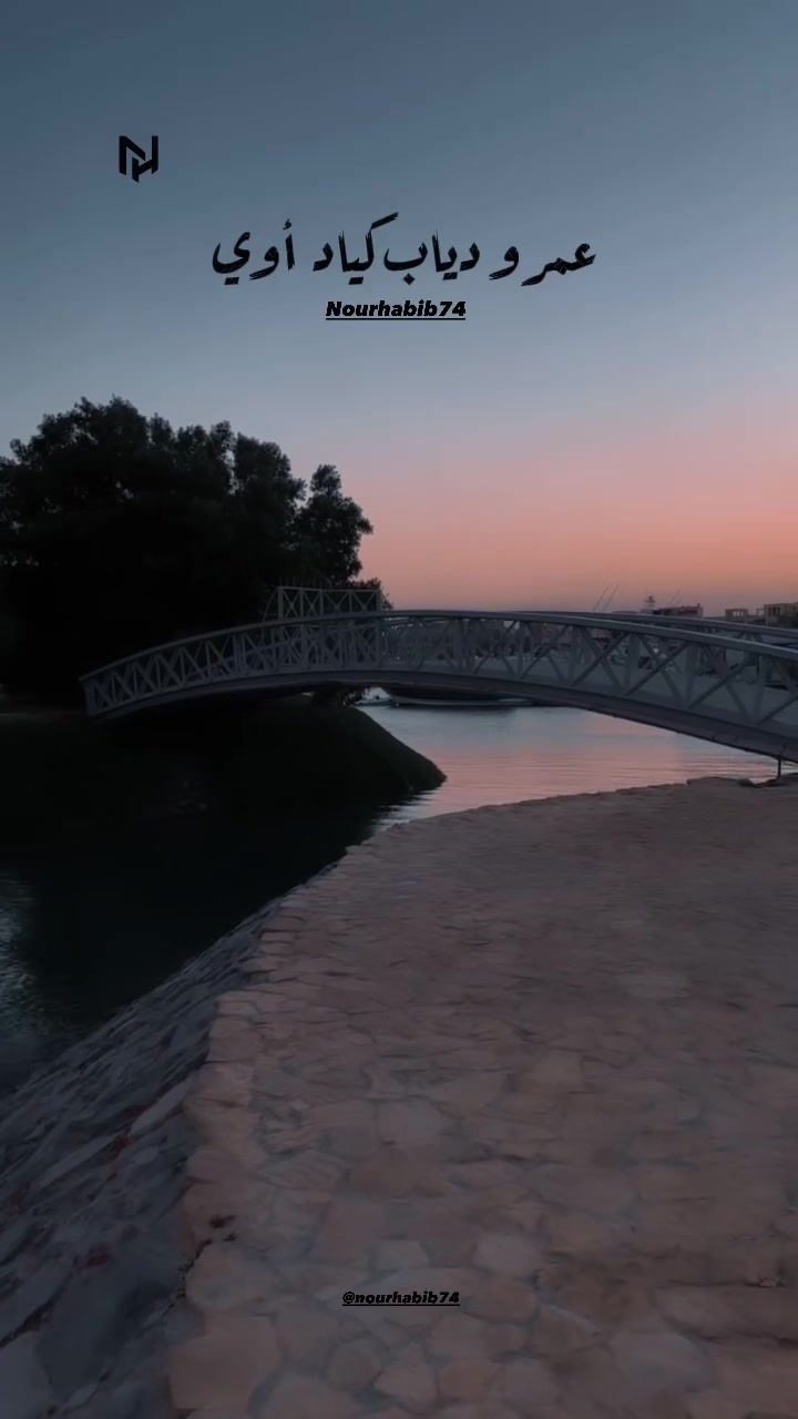 @NourHabib74