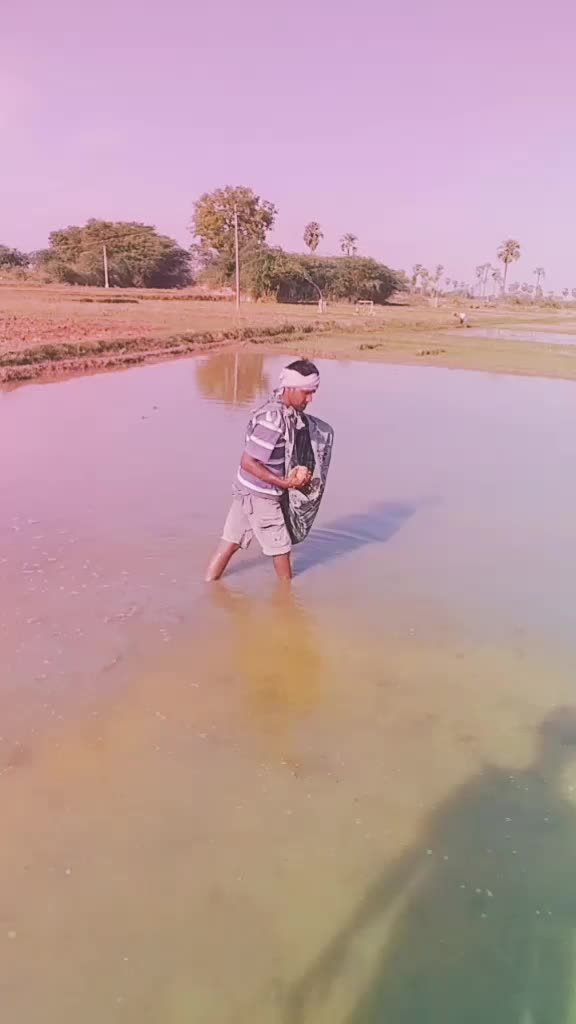 @Lingaswamy