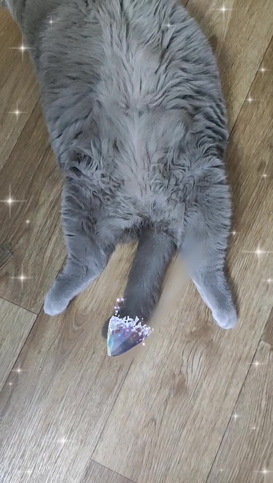 @Кошка Зефирка