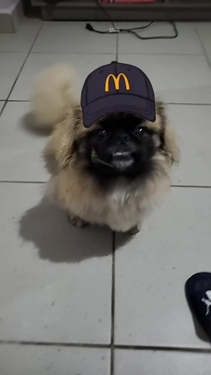 @a i l e e n uwu
