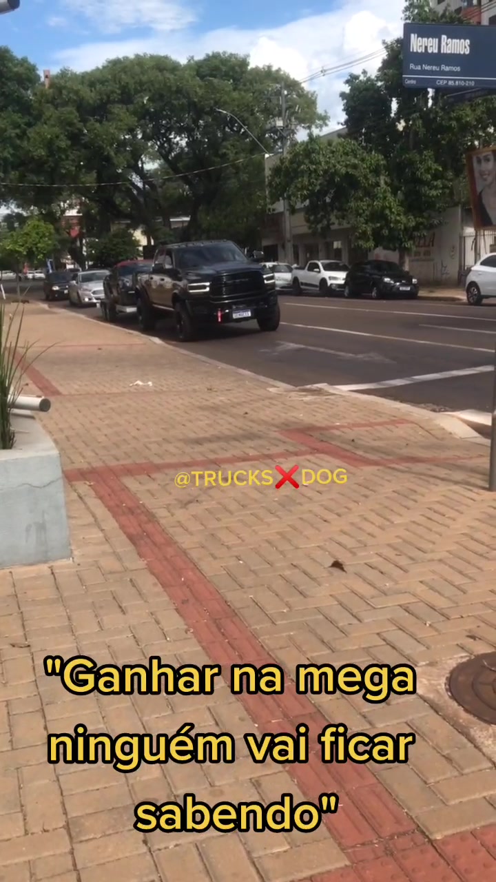 @TRUCKS///DOG