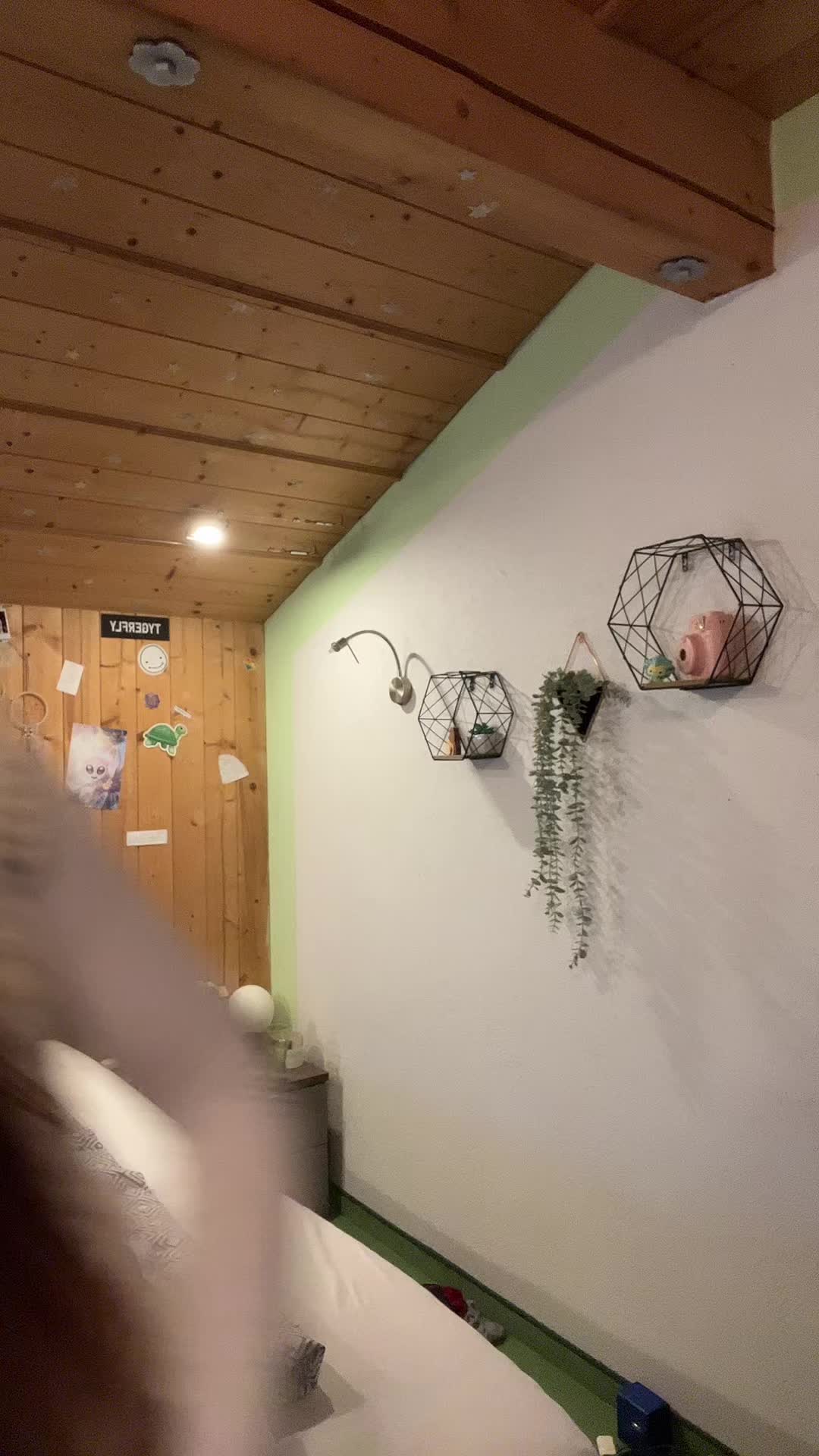 @MC Tämsi 🐢
