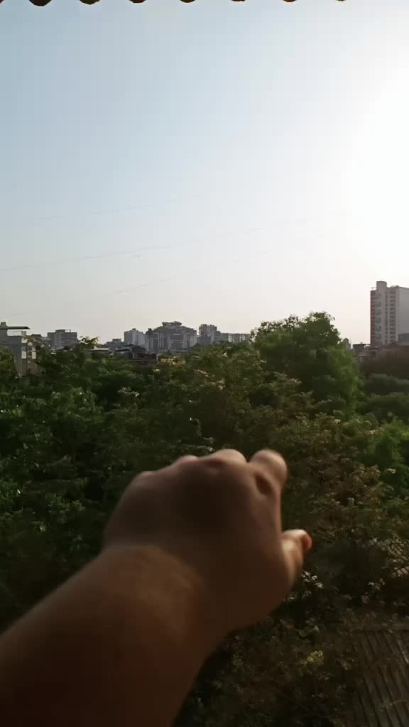 @Divya Mehra