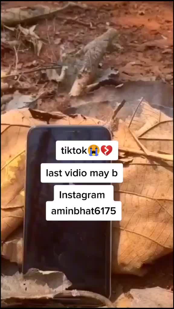 @Amin Bhat