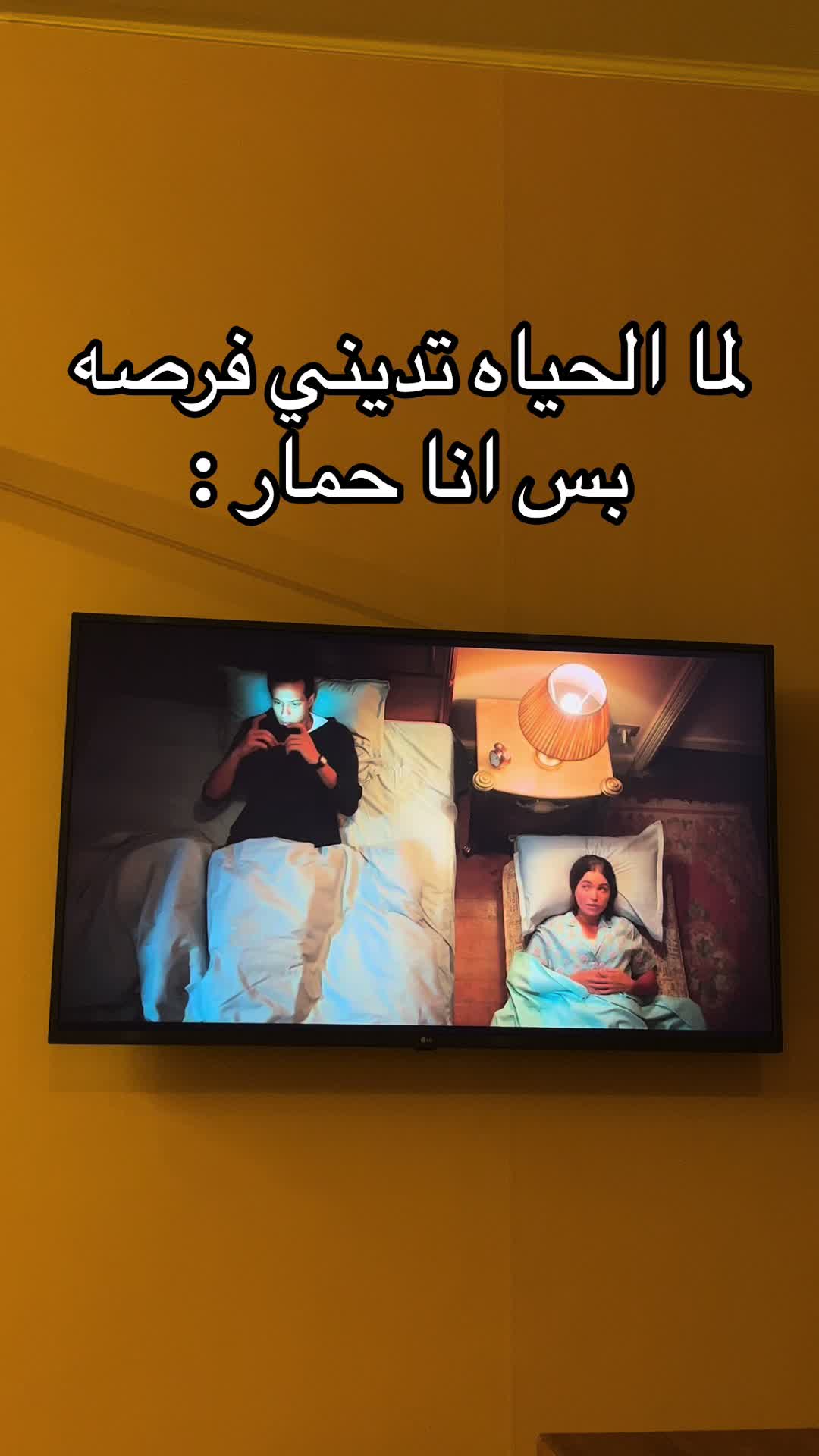 @Ahmed_elhefnawy_