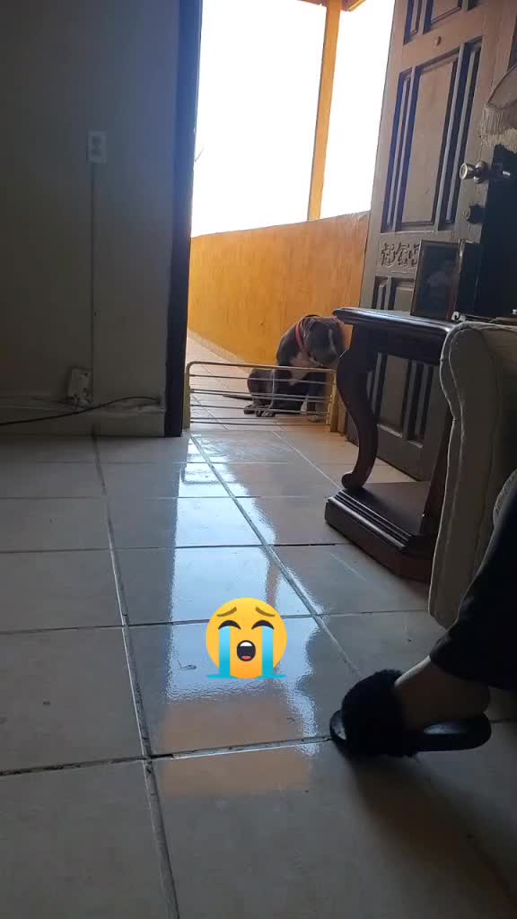 @kingTaitan
