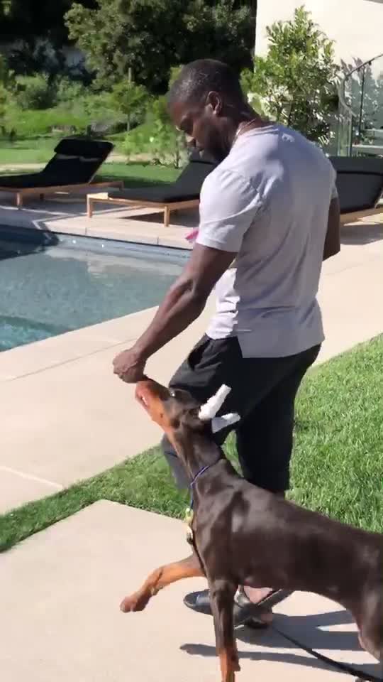 @Cali K9