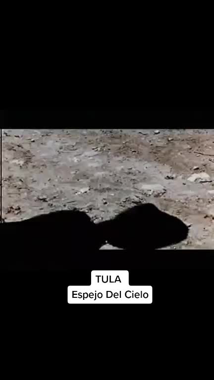 @Pensamientos De Un Tolteca