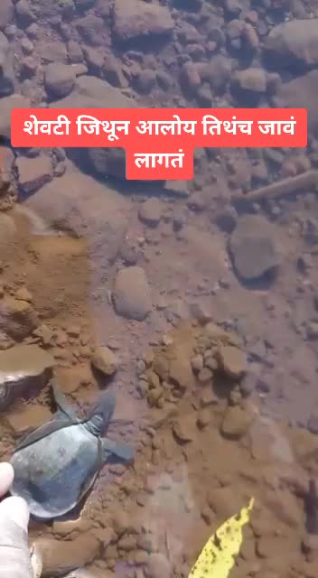 @SHEKHAR DIVADE