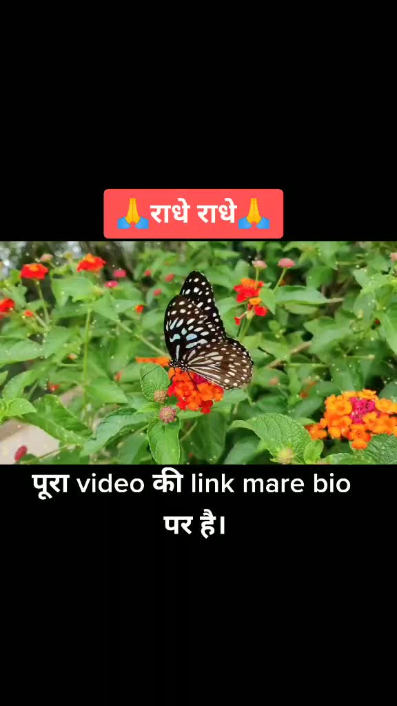 @Nirav Raval