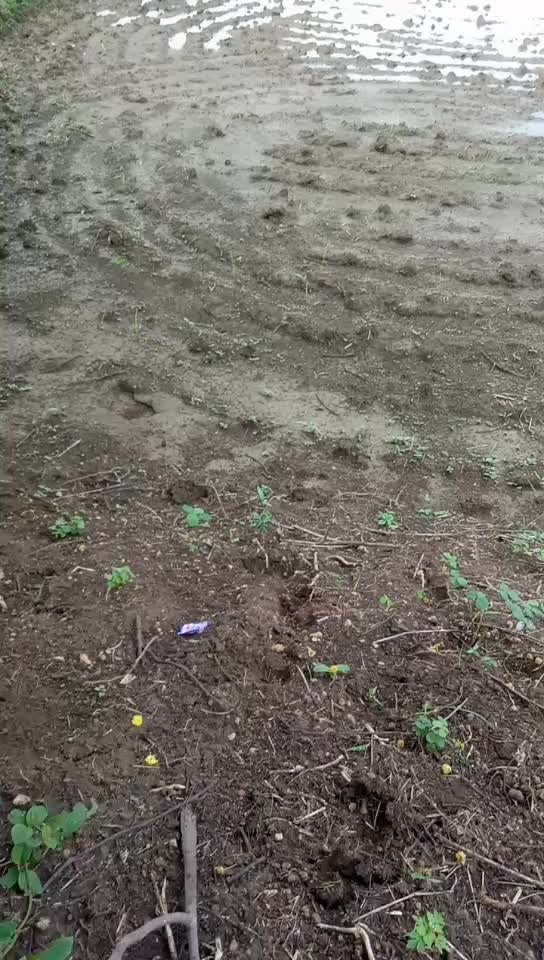 @Khuman Kaushik
