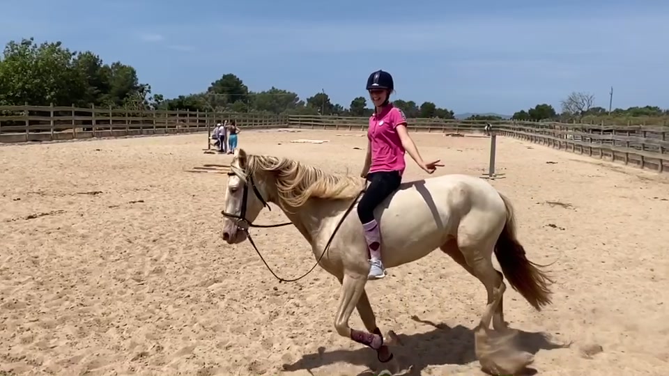 @🐴💎🥰