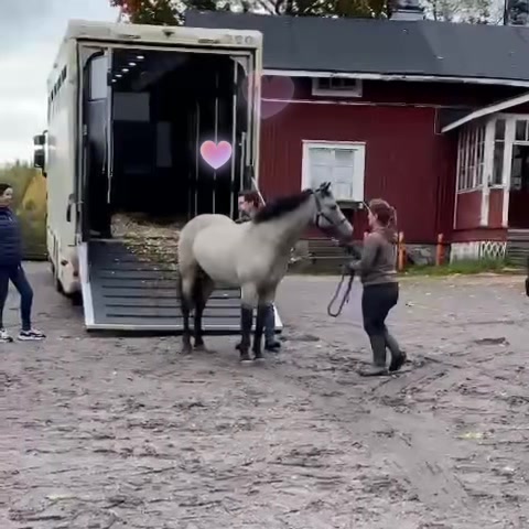 @Hus&ouml;