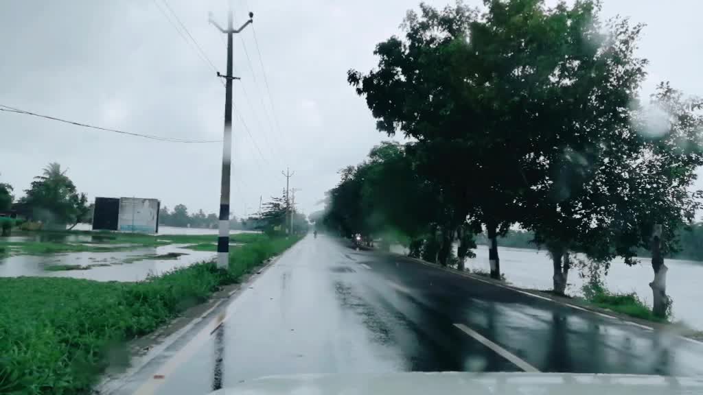 @neginantony