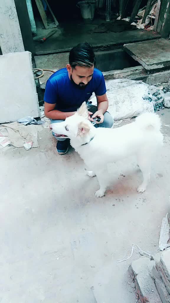 @sajid tinku