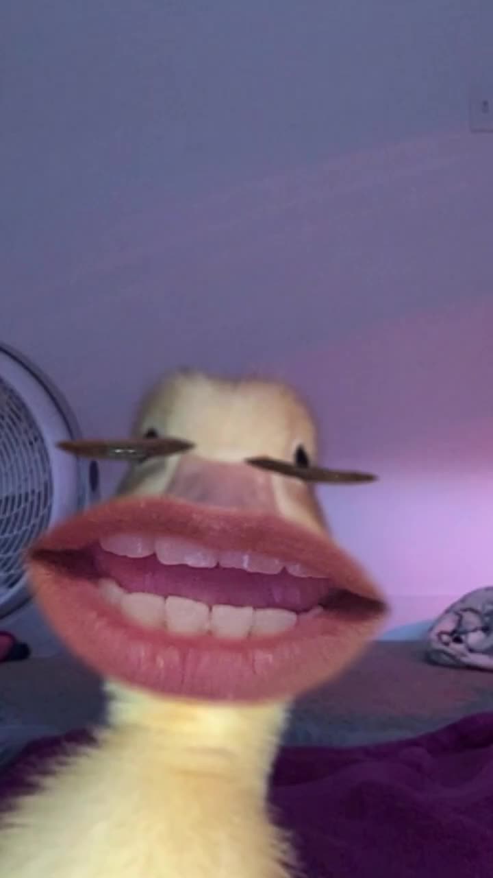 @ᑭOᑎTE ᗯᗩᑭᗩ