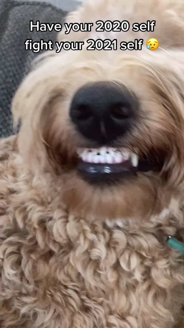 @indie.doodle