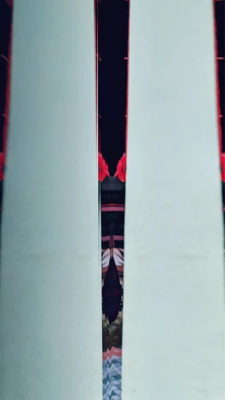@user278660