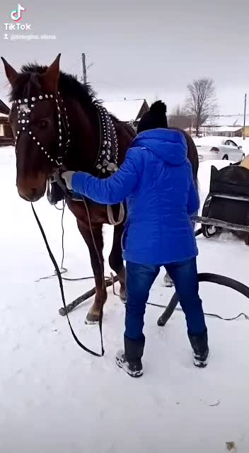 @Елена