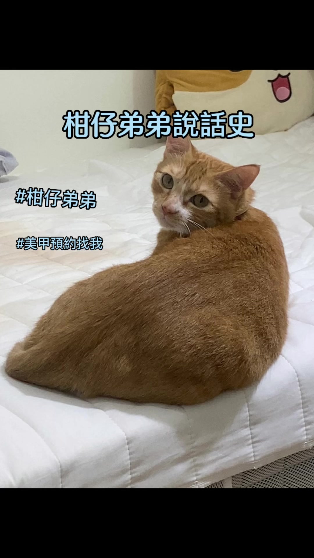@柑仔弟弟