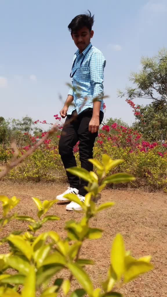 @SHan Shiku