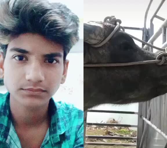 @Zaffu Zaffu