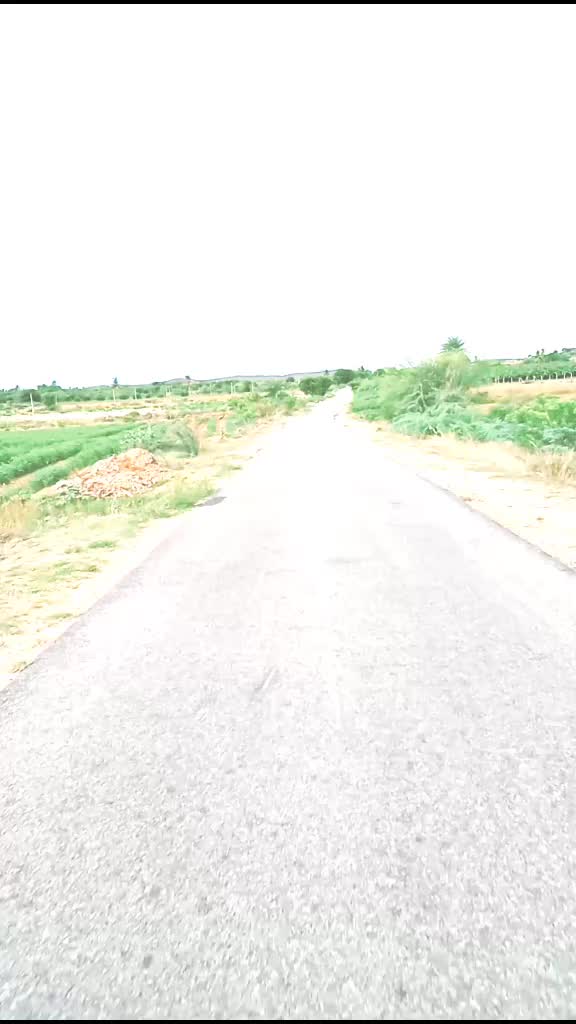 @user viju tiger6356