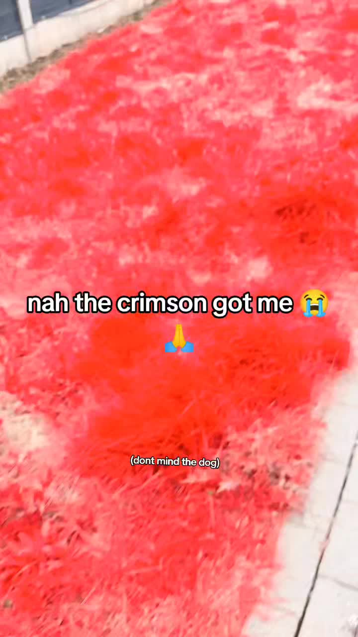 @I Like Terraria