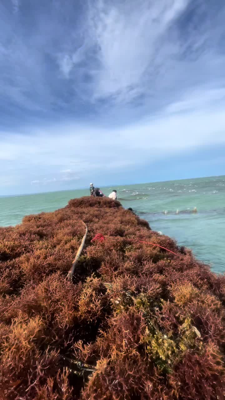 @Bosmuda😎