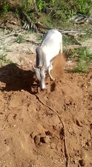 @தேனியின் நண்பன்