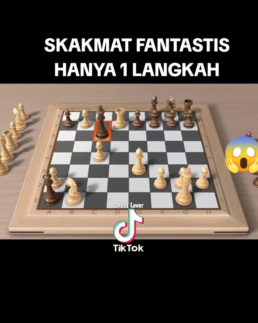 @CATUR DUNIA