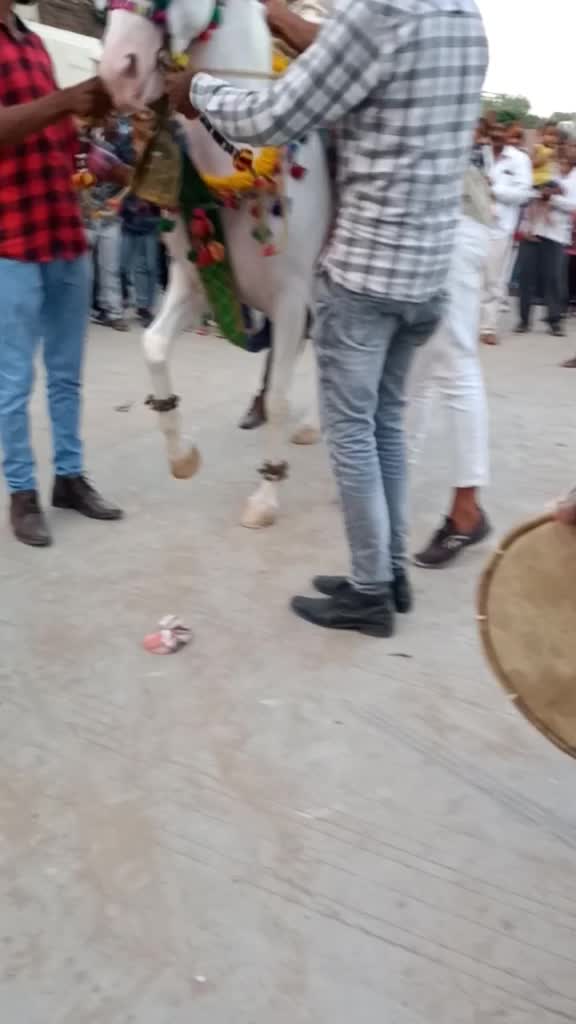 @Sandhi Javedali
