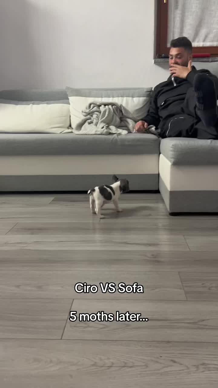 @Valentina Testa