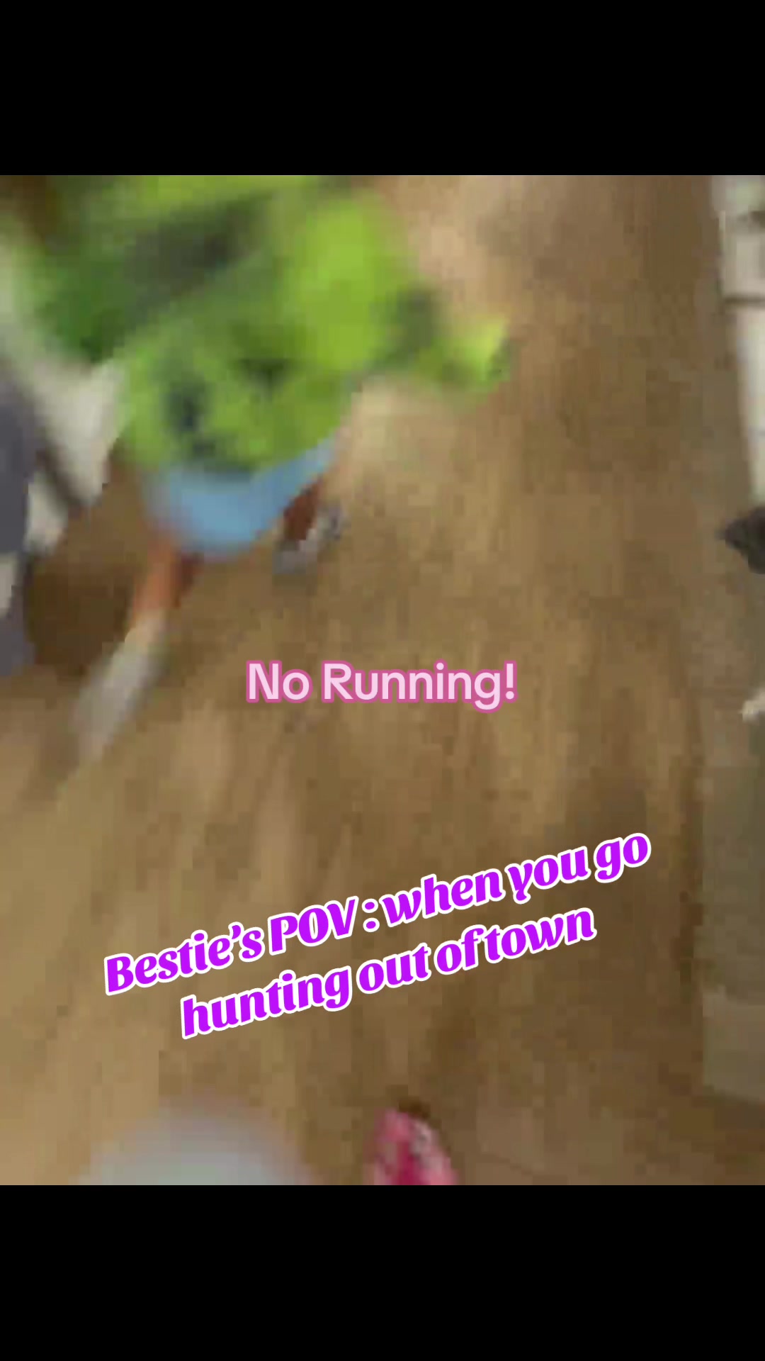 @Hunting_with_coco