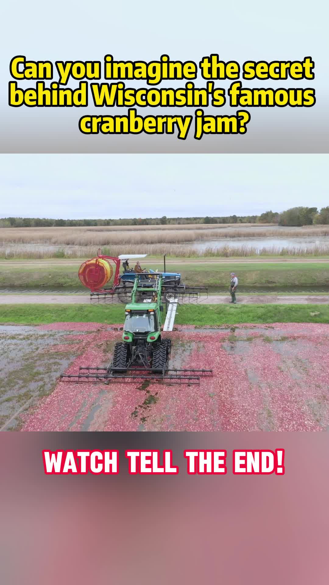 @fhdgjk