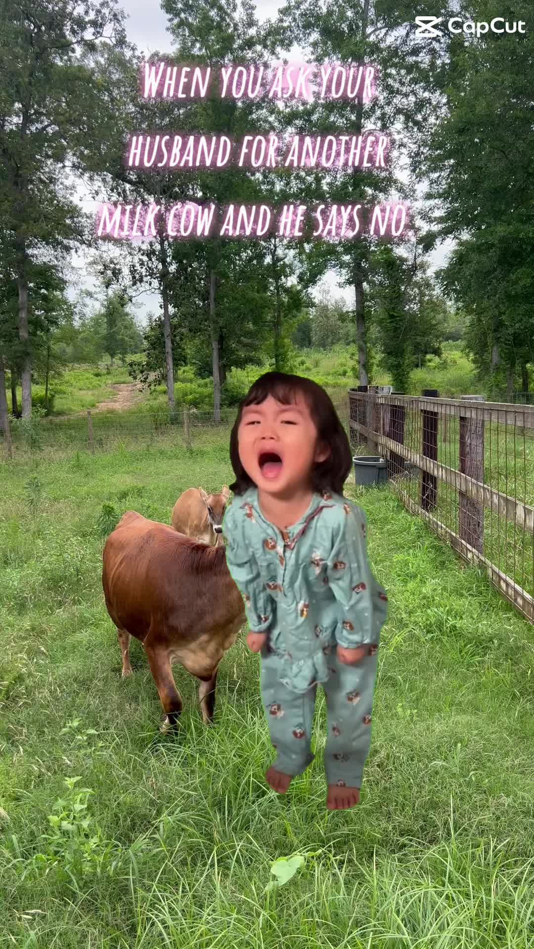 @theshawnastark