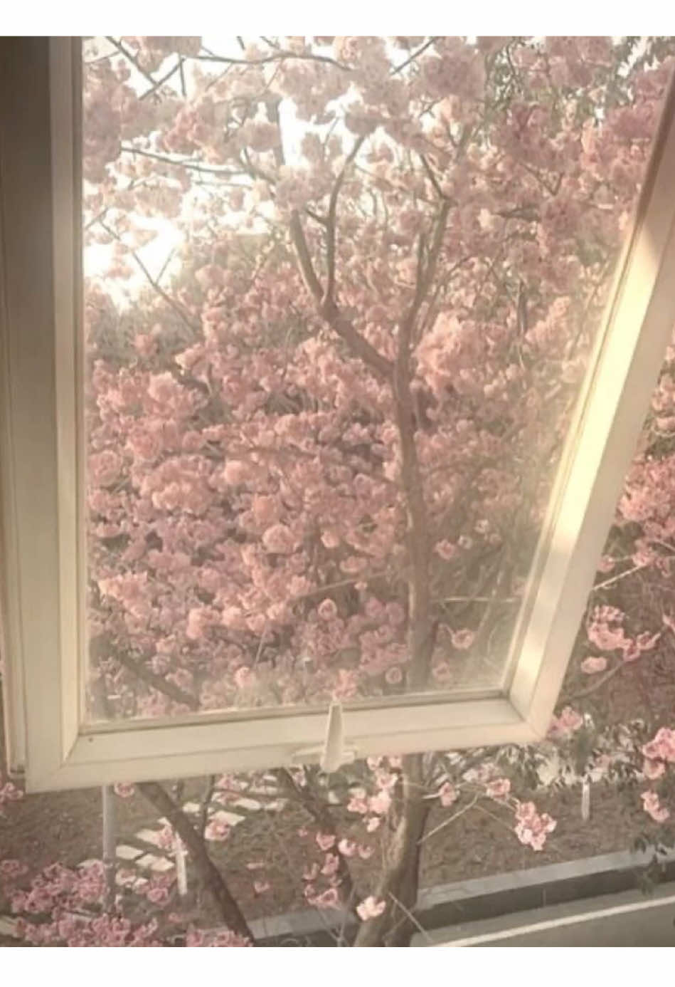 @(:̲̅:̲̅:̲̅[̲̅:♡:]̲̅:̲̅:̲̅:̲̅)