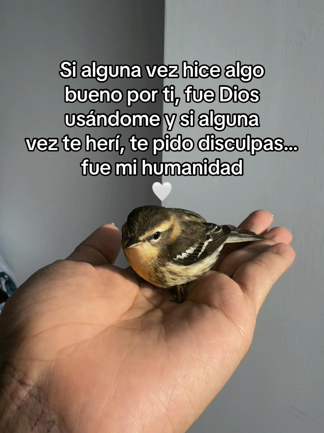 @alejita🌸