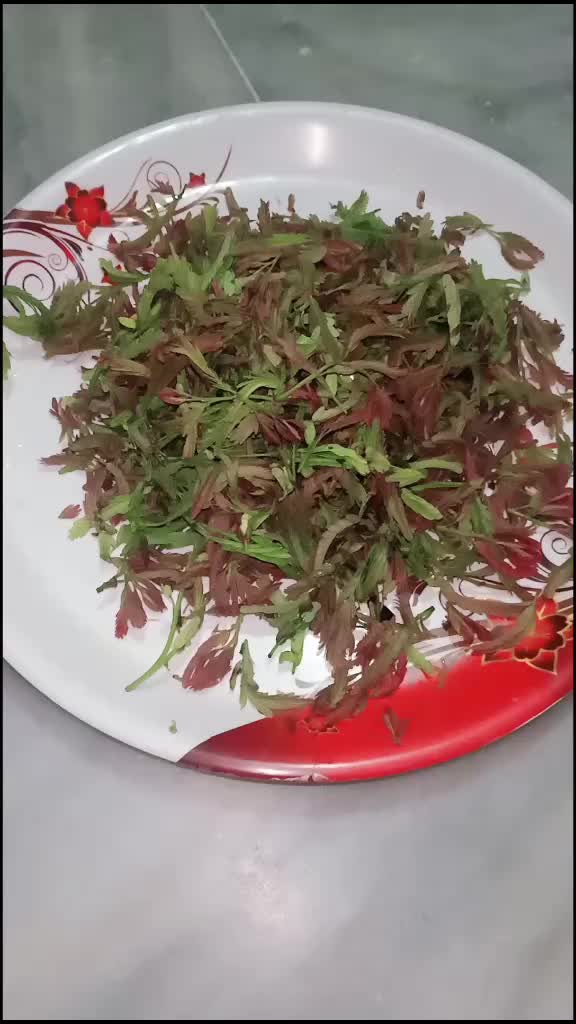 @surya