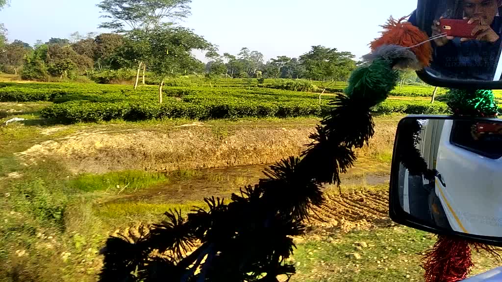 @Dimpul Hazarika
