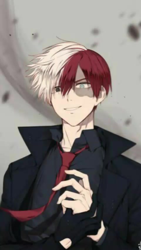 @Shoto Todoroki