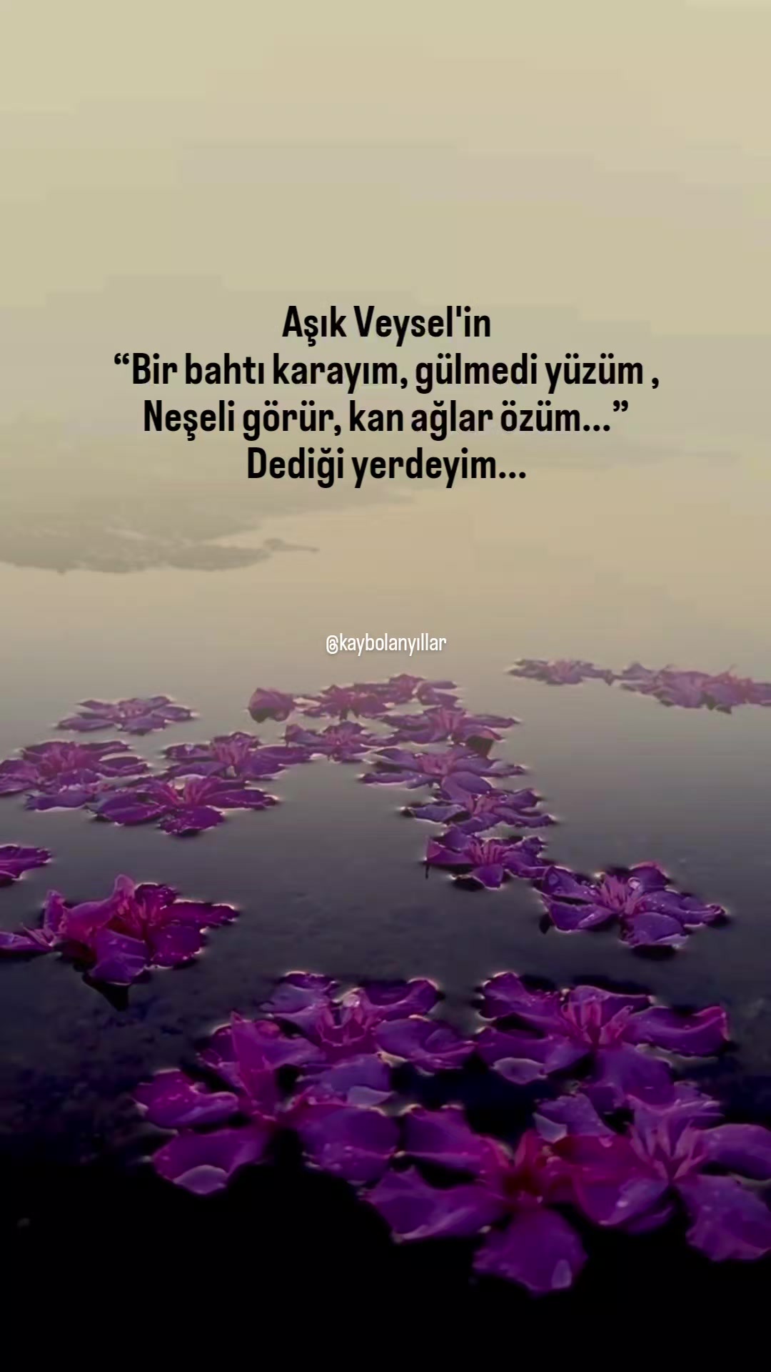 @𝐊𝐚𝐲𝐛𝐨𝐥𝐚𝐧 𝐲ı𝐥𝐥𝐚𝐫
