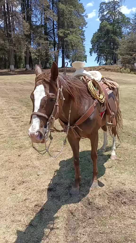 @Wily Jr 🤠