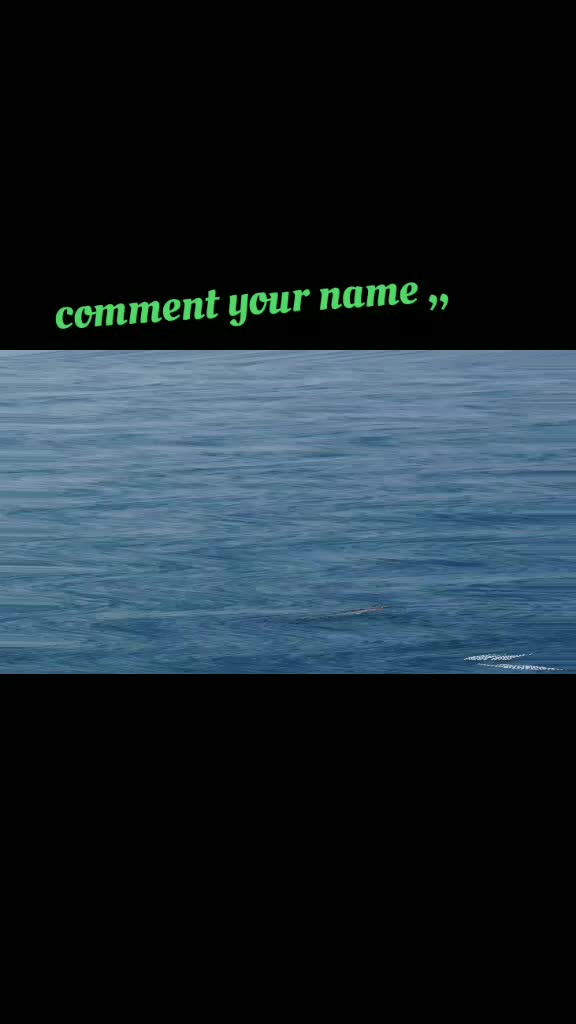 @shravan k