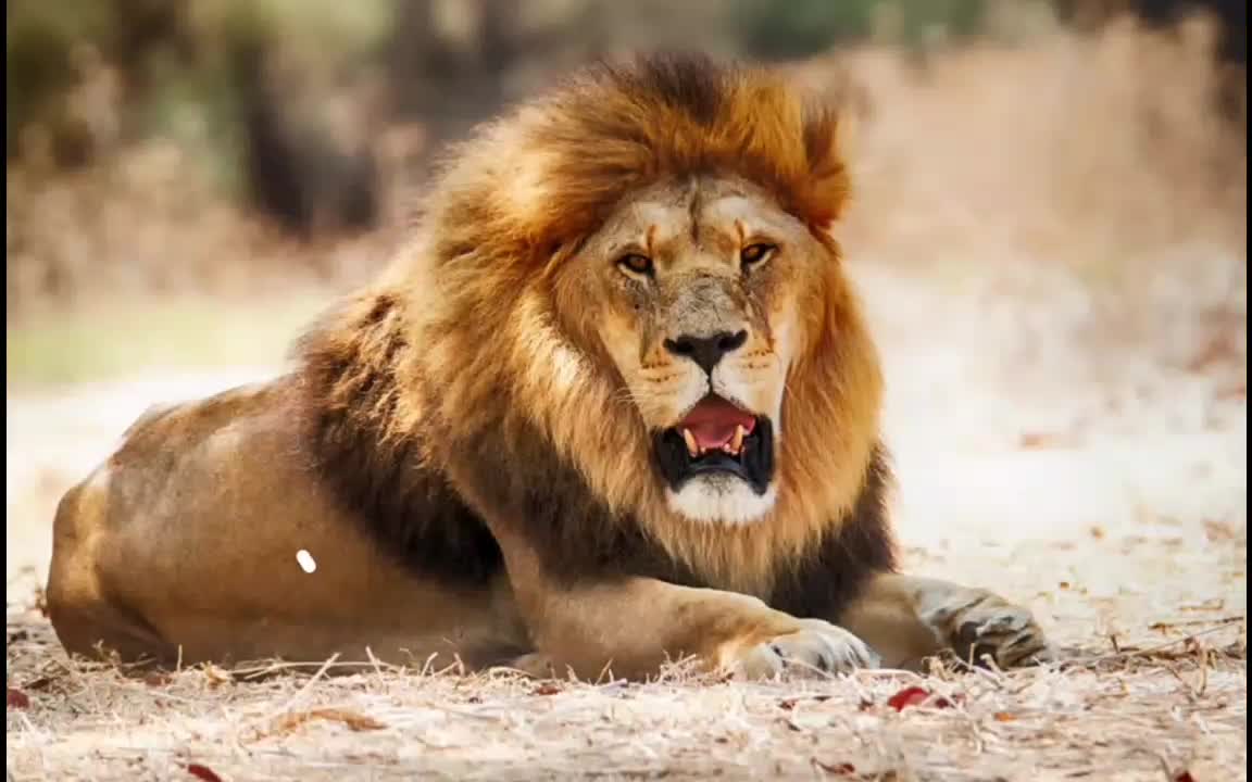 @JALALABAD_61