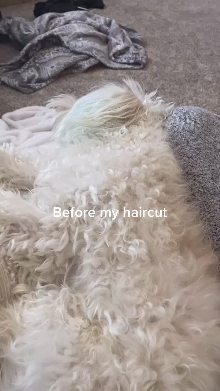 @Just a girl and her dog