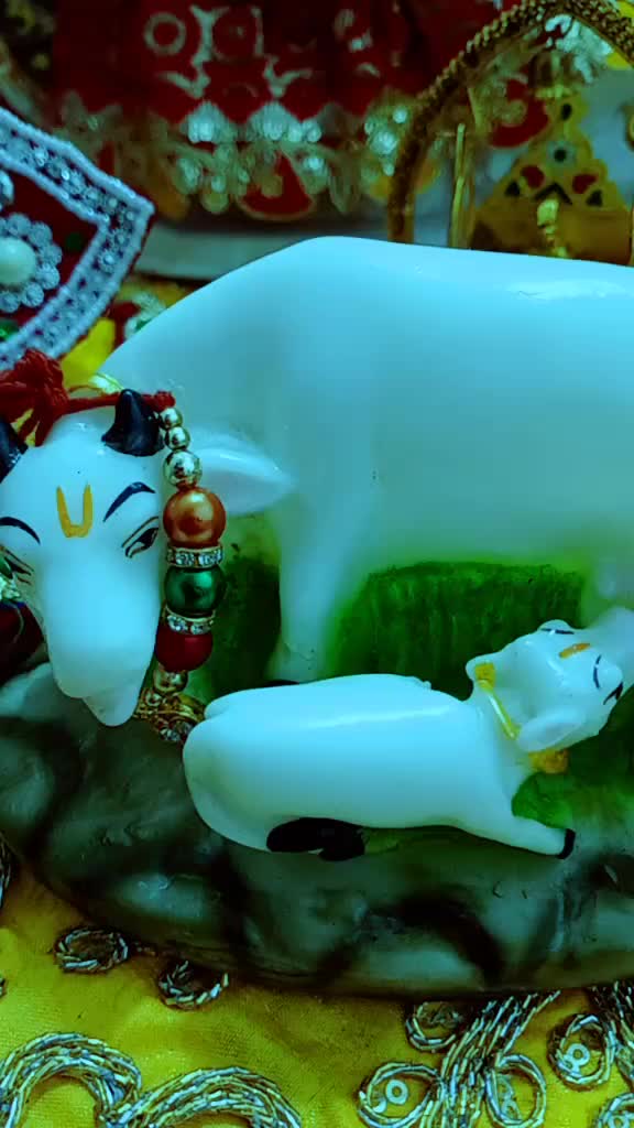@mamta