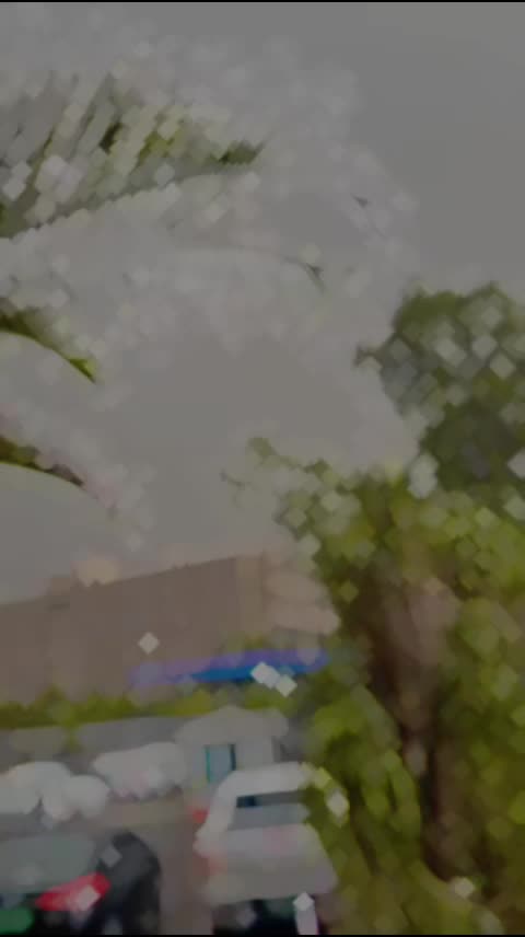 @Alihamza0001