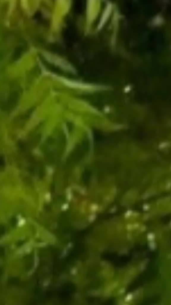 @مہر زادی 💞